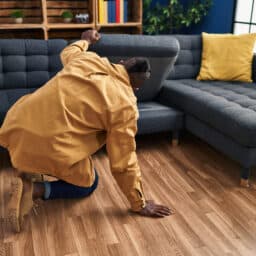 Young man looking for something under sofa at home